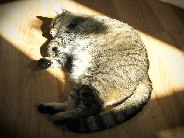 Dora, Lying In The Sun Beam