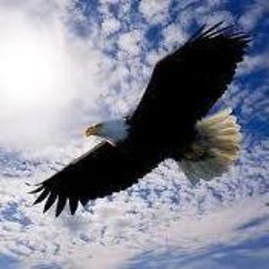 hoangphihong_tuyetdinhcongphu avatar