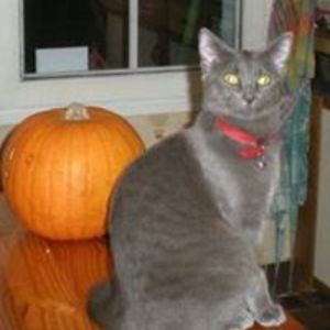 sylvie_cuinet avatar