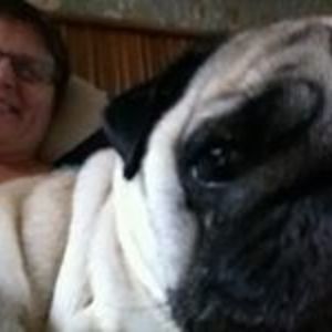 christine_symaeys avatar