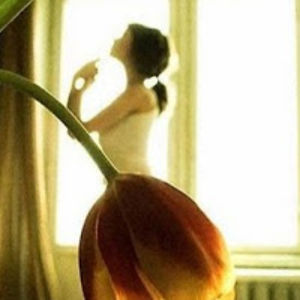 nivethachezhian avatar