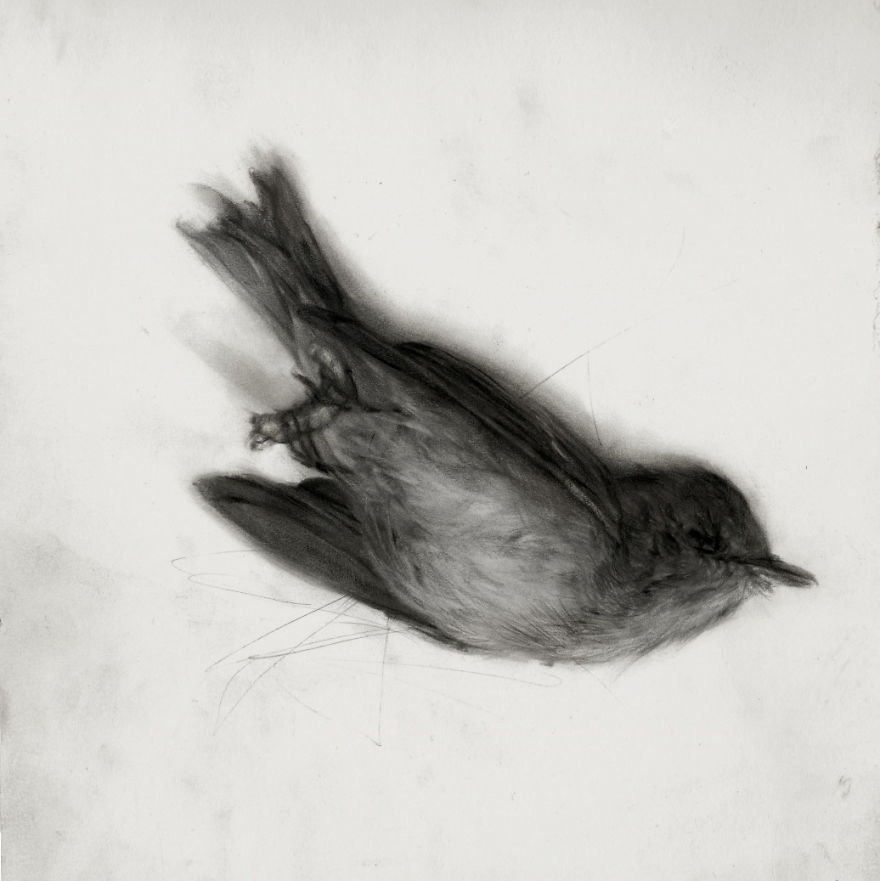 I Found This Pencil Artist Called Jossluka !