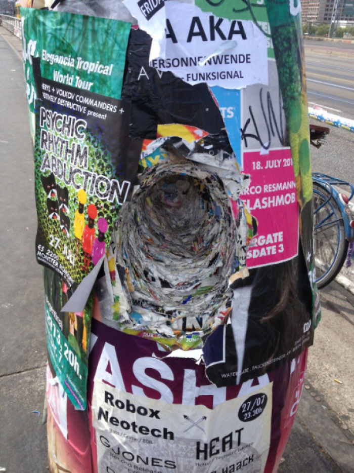 This Lamp Pole's Posters Over The Years