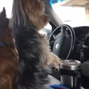 lindaandscottb avatar