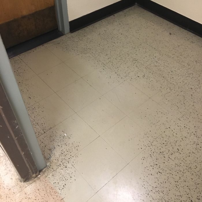 Years Of People Walking Into The Women's Bathroom At A Large University Library Have Worn The Decorative Speckles Off The Floor