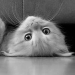 mountainside652 avatar