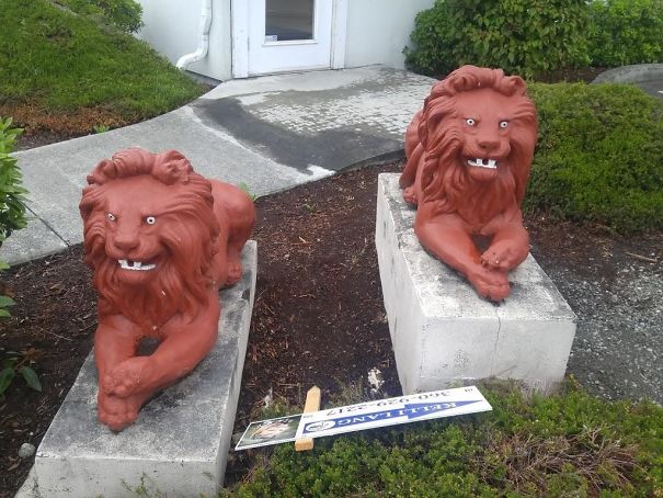 These Two Red Lions Have Seen Some Shit