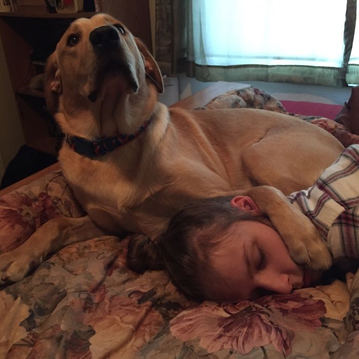 My Girlfriend Fell Asleep With My Dog And He Gave Me This Look After I Kissed Her On The Cheek