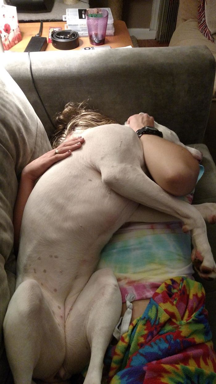 My Girlfriend Had A Hard Day. My Dog Decided To Help