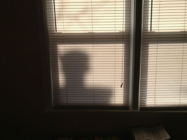 Every Morning My Friend Wakes Up To This Shadow In His Window. Turns Out It's His Neighbour's Chimney