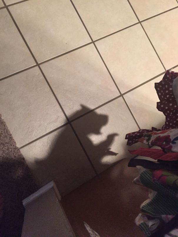 This Apron's Shadow Looks Like A Bear