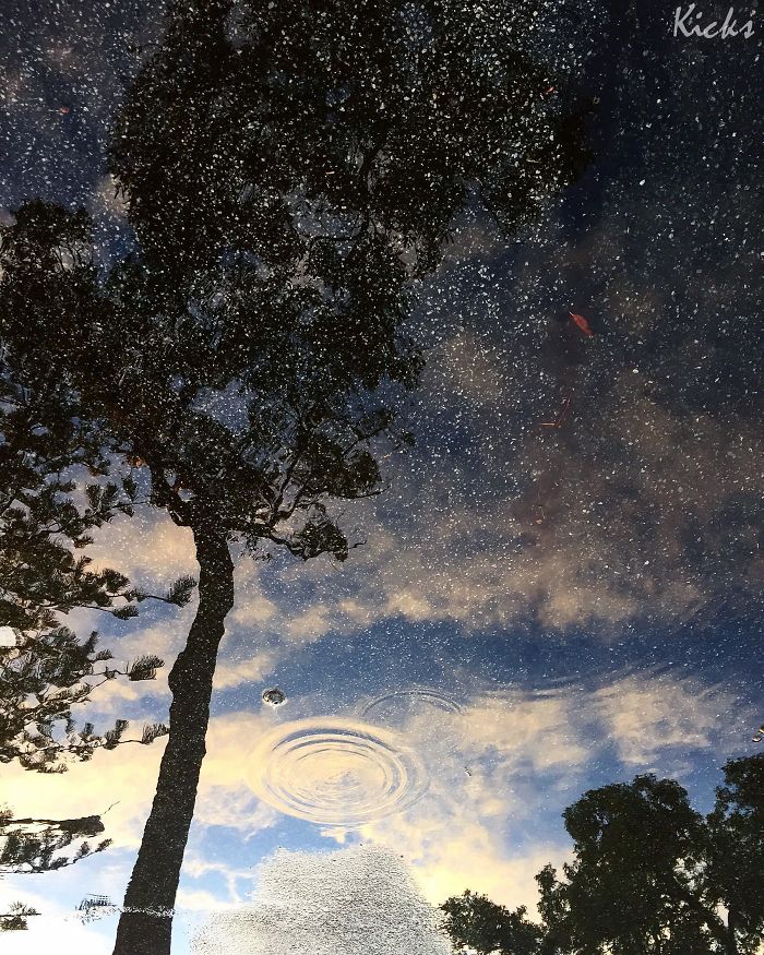 I Took This Photo Of A Reflection In A Puddle And The Gravel Looks Like A Starry Night Sky