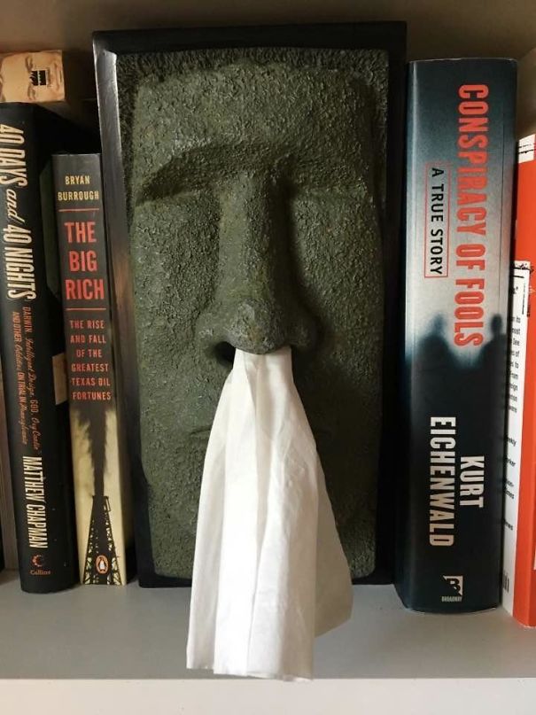Easter Island Head Tissue Box For $3 At Goodwill