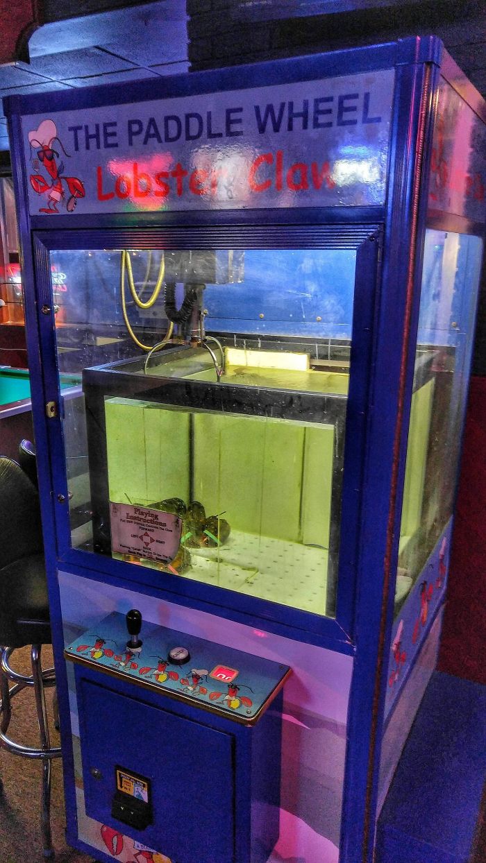 Local Bar Has A Lobster Claw Game Where You Can Win A Free Lobster Dinner
