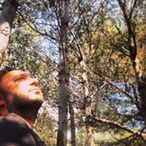 nicolabartolinicarrassi avatar