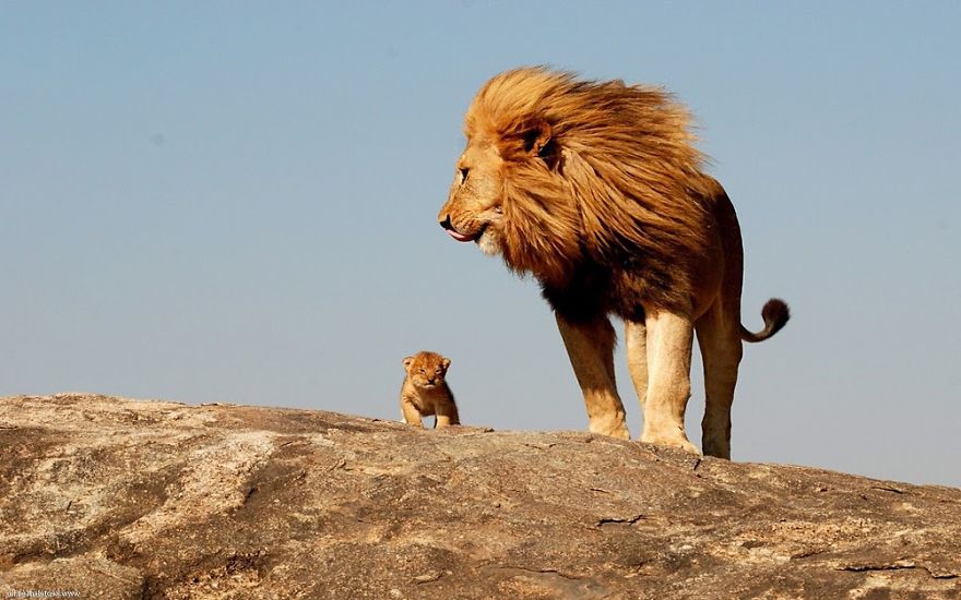 A Letter To My Son A Letter To My Son