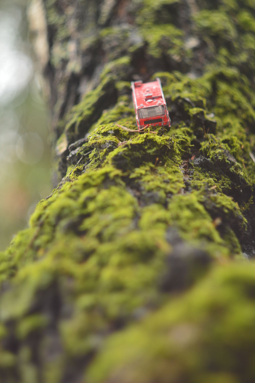 Forest Adventures Of The Fire Truck