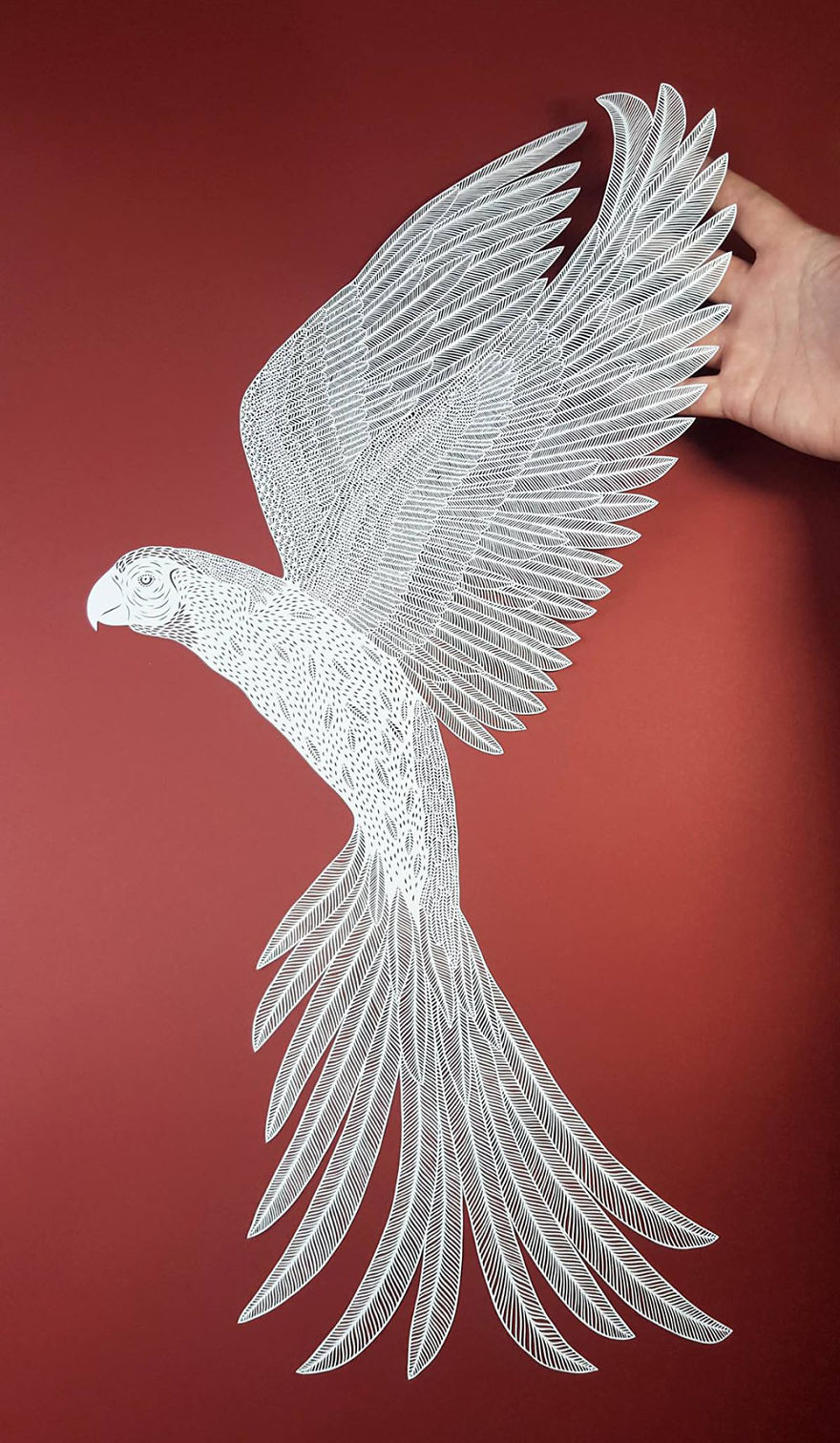 awesome Arts Made With Trimmed Papers