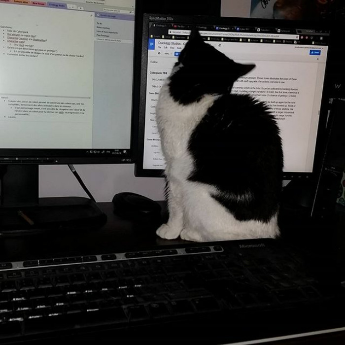 I'm Trying To Work!