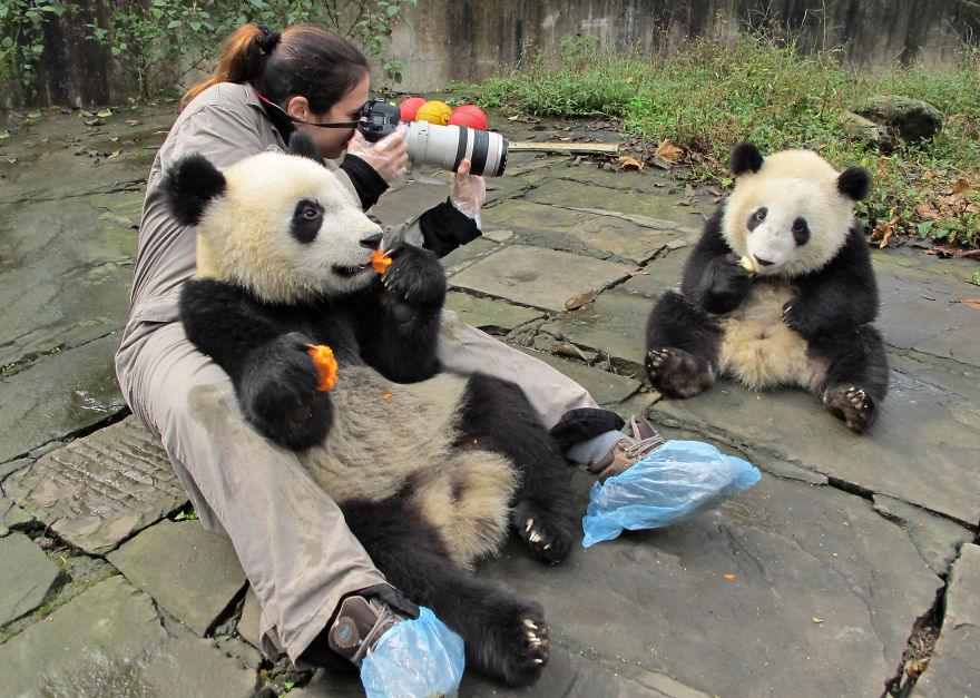 Behind The Scenes Of A Wildlife Photographer