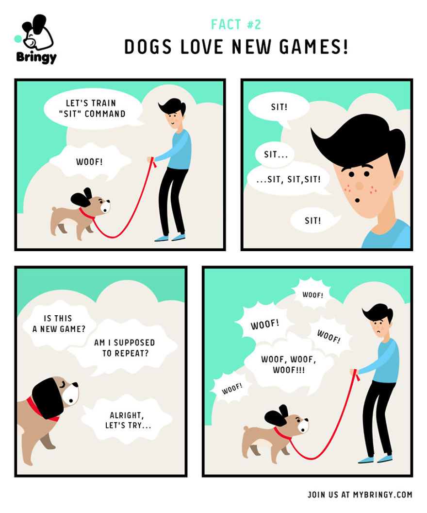 All About Dogs - By Bringy