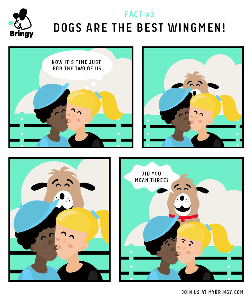 All About Dogs - By Bringy