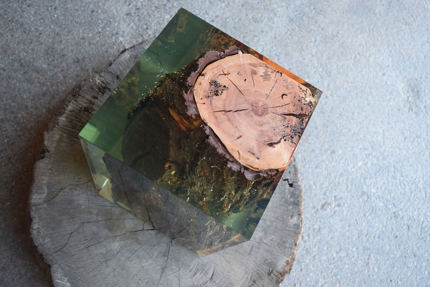 Cherry Stump & Resin Cube