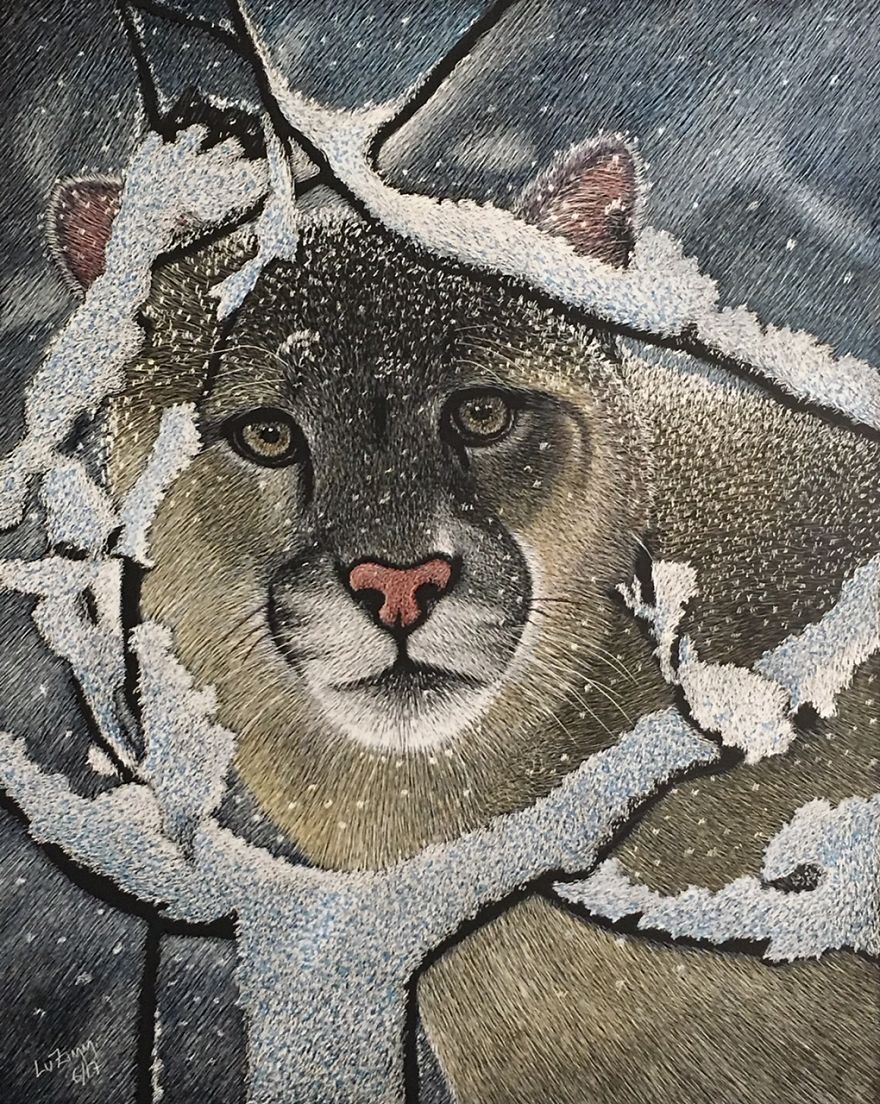 "Puma" In Central & South America - I Call This One: "Cougar In Snow" - Just Finished! Check My Website: Www.luzimmscratch.com