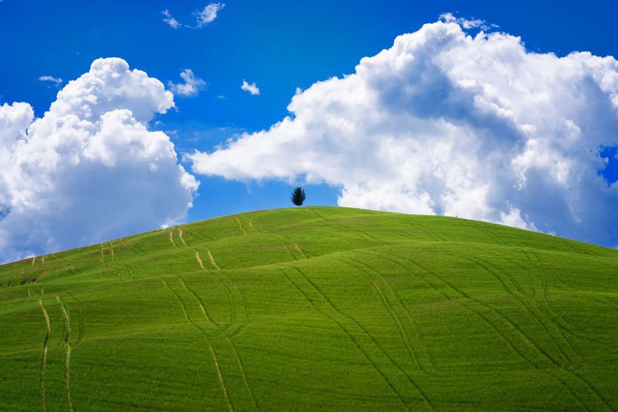 I Photographed Tuscany And It Looks Like The Classic Windows XP Wallpaper |  Bored Panda