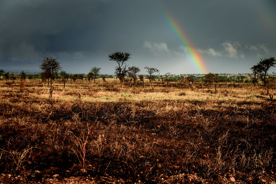 You Can't Miss Your Pictures In Tanzania
