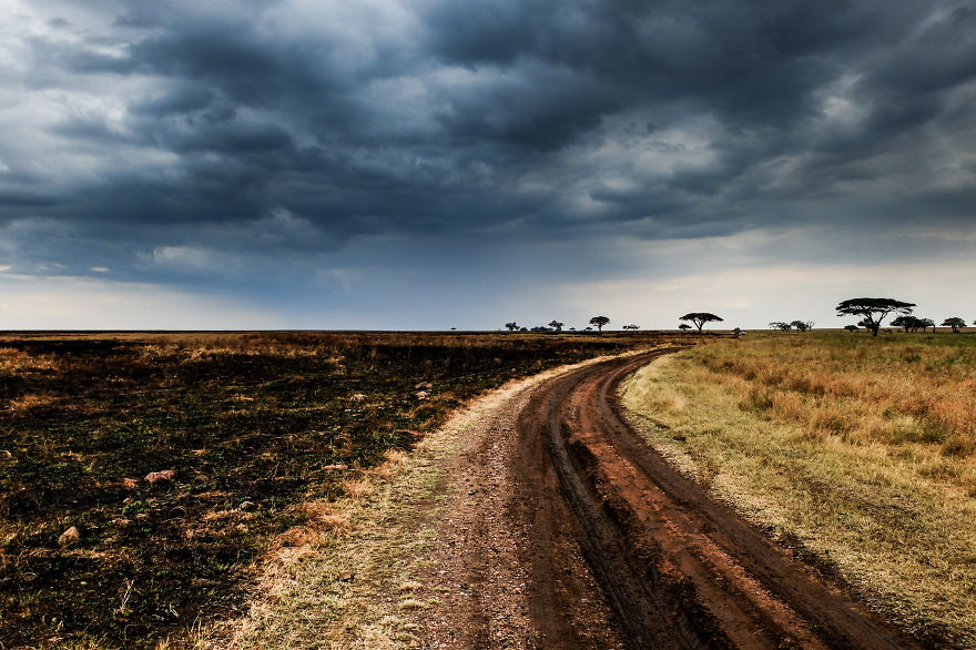 You Can't Miss Your Pictures In Tanzania
