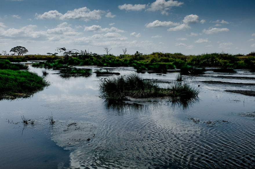 You Can't Miss Your Pictures In Tanzania