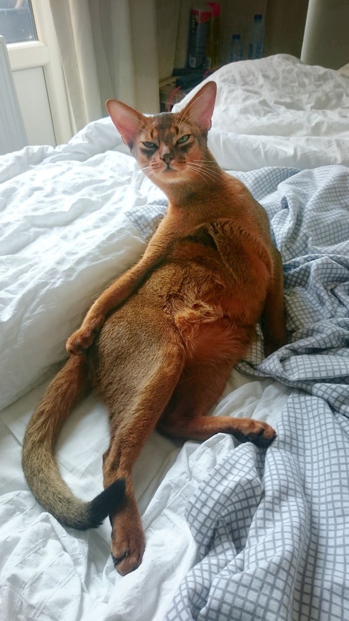 Draw Me Like One Of Your French Girls