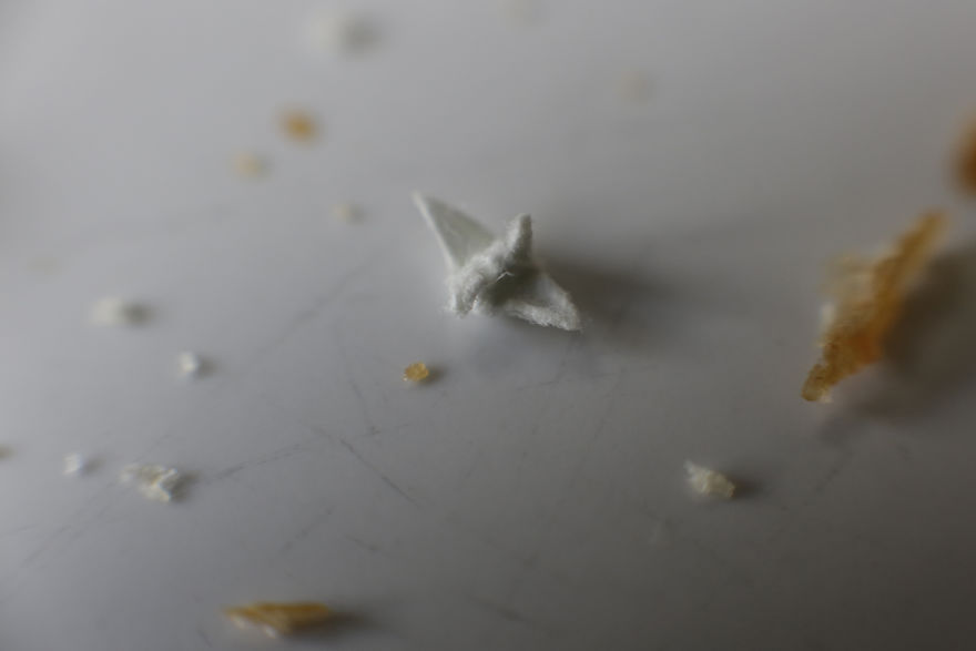 I Make Incredibly Tiny Origami Cranes That Take Me Around 45 Minutes Each