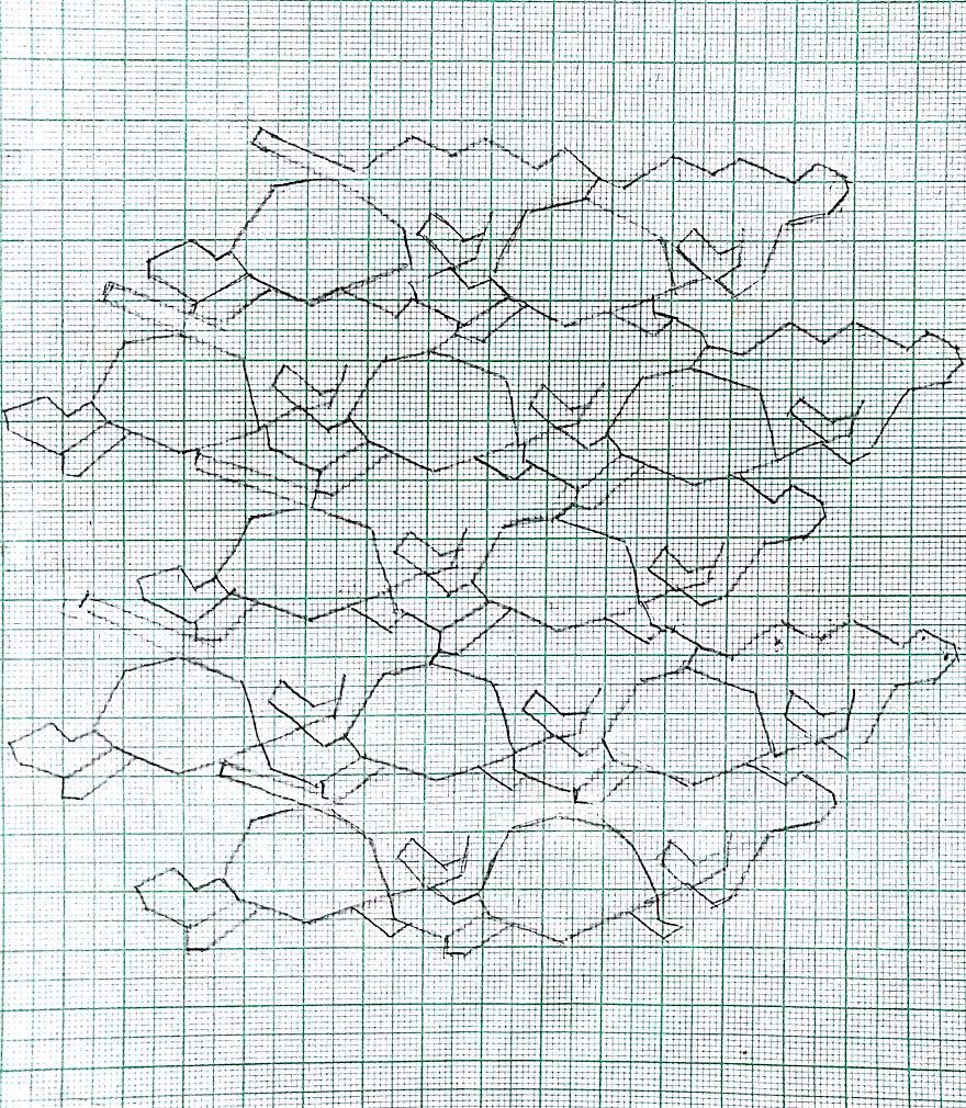 I Made Tessellation Pattern Of Cheetah And Tortoise