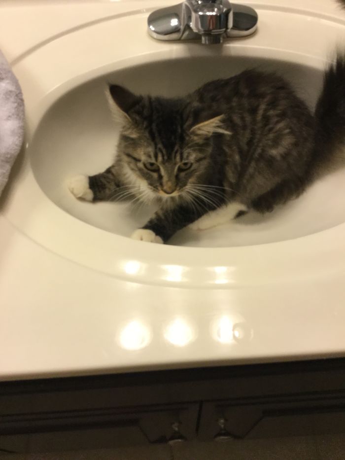 Kobayashi Maru In The Sink