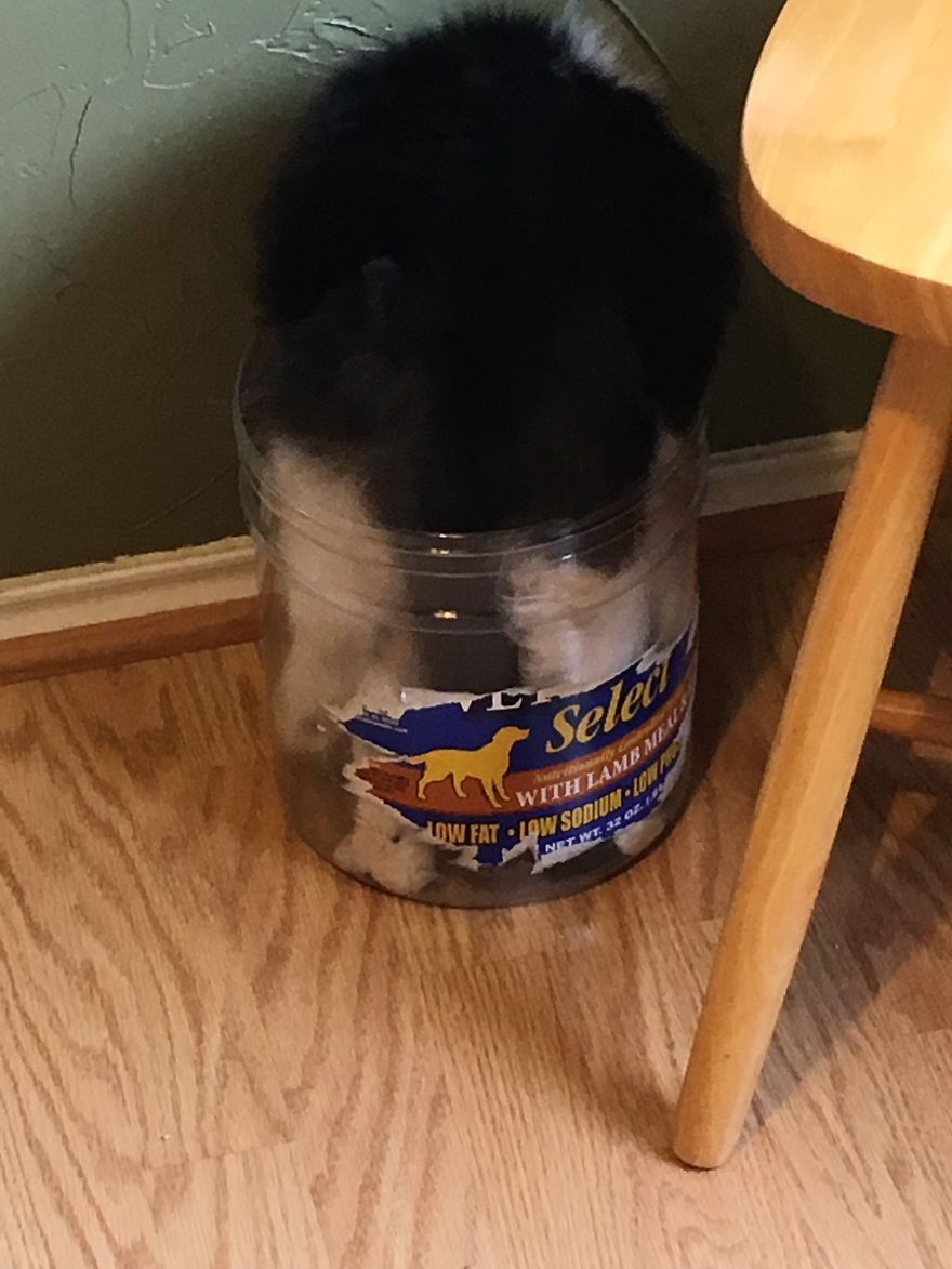 I Just Know I Can Fit In Here...