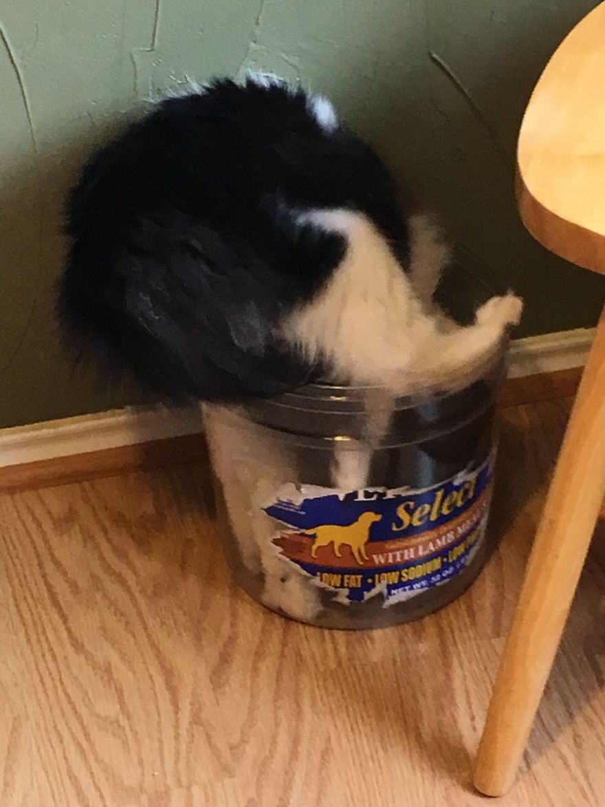 I Just Know I Can Fit In Here...