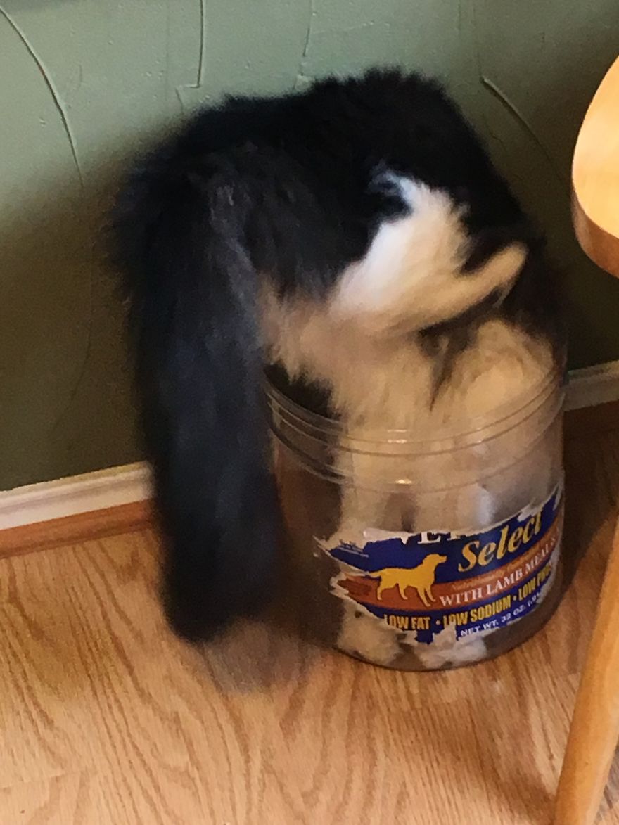 I Just Know I Can Fit In Here...