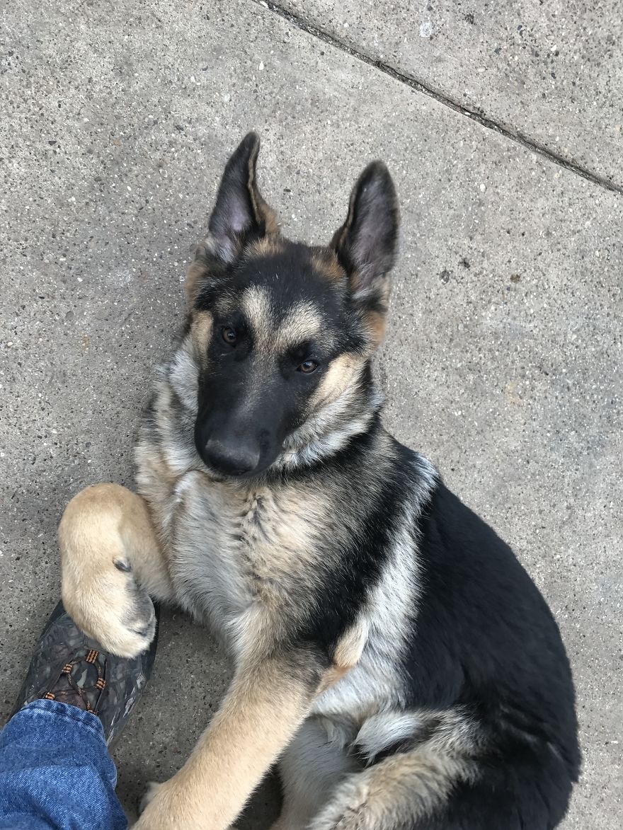 4 Months