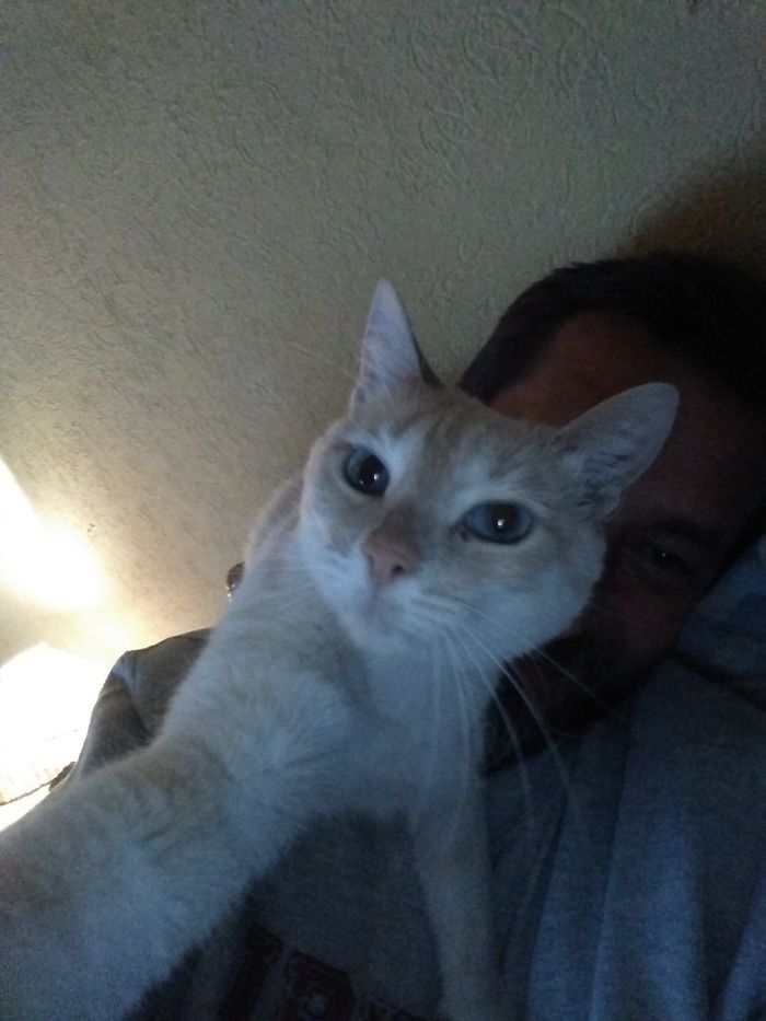 He Likes To Sit On My Chest, Every Time I Use The Phone, He Try To Bite It, In The Photo It Would Seem That He Is Taking Selfie.