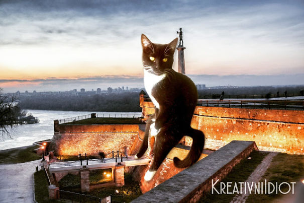 Belgrade Takeover Belgrade Takeover