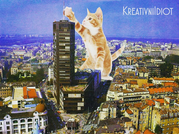 Belgrade Takeover Belgrade Takeover