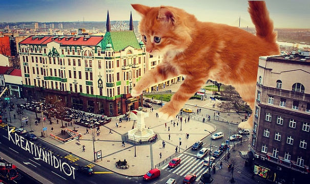 Belgrade Takeover Belgrade Takeover