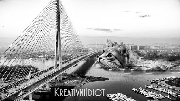 Belgrade Takeover Belgrade Takeover