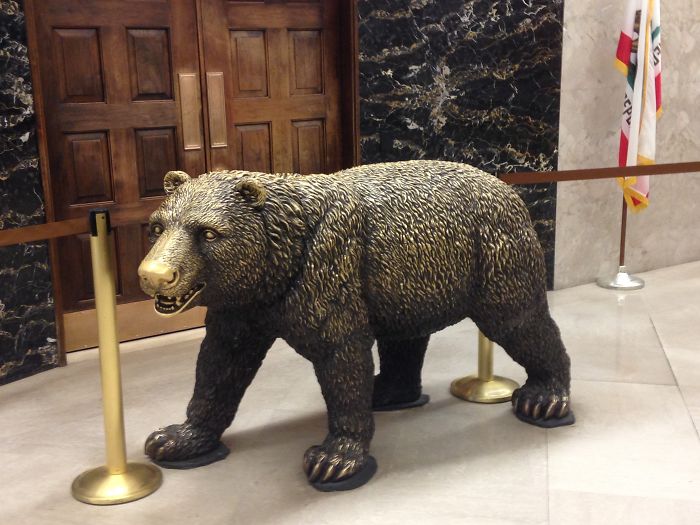 California's Golden Bear In The State Capitol Building Has A Very Shiny Nose.