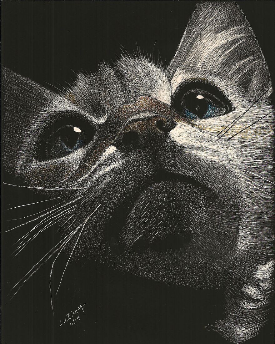 A Calico Cat Looking Up...simply! Could Not Resist The Looks In His Face So I "Scratched" Him And Some One Felt The Same-Off To Their Home It Went! Www.luzimmscratchart.com