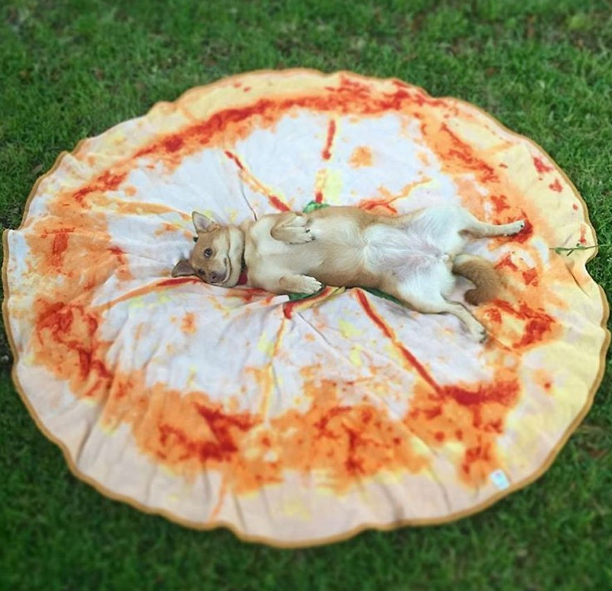 Meet 7 Dogs Who Love Pizza Towels