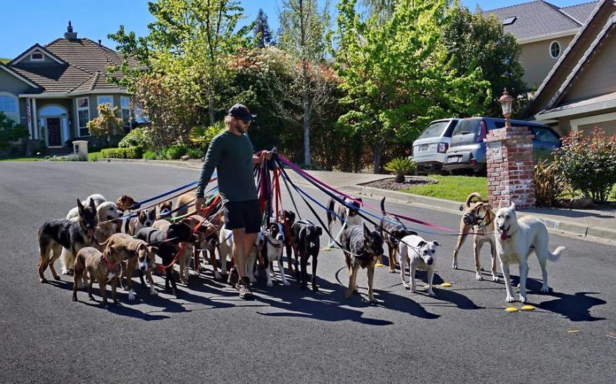 Meet The Animal Lover Couple And Their Super Canine Club Meet The Animal Lover Couple And Their Super Canine Club