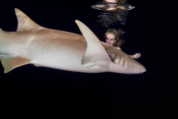 Model Poses Underwater With Sharks To Prove Creatures Are Not Dangerous